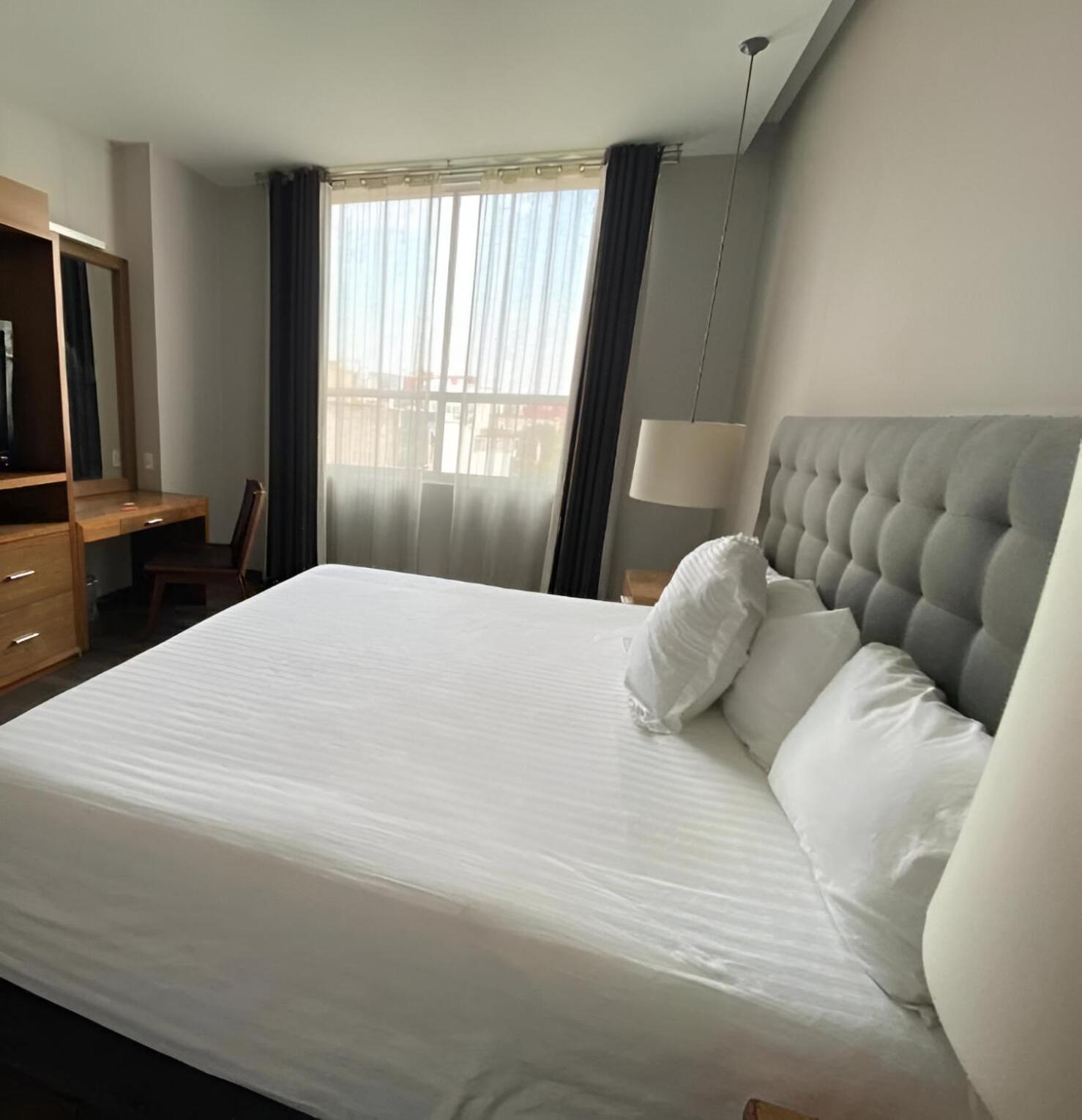 Suites Del Angel 멕시코 시 외부 사진