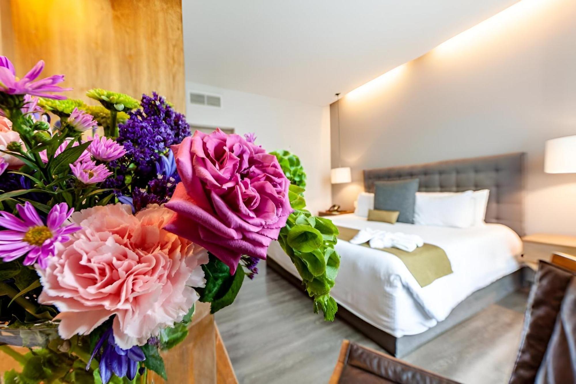 Suites Del Angel 멕시코 시 외부 사진